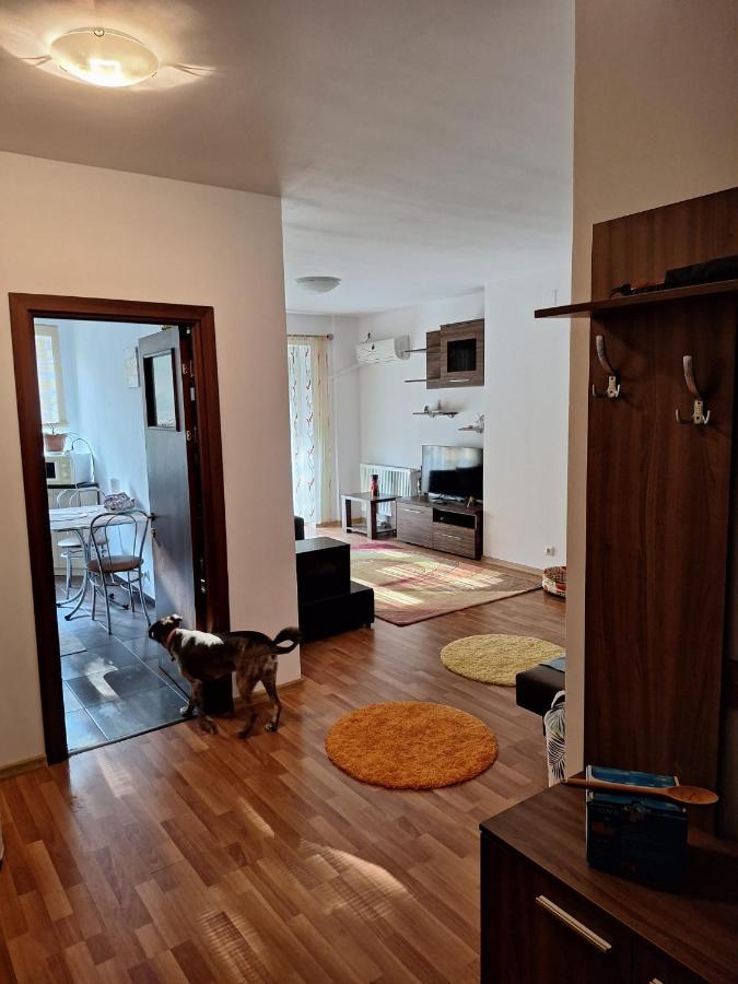 Tokyo Apartment Bucharest